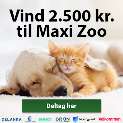 Vind 2.500 kr. til Maxi Zoo